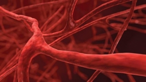 Ελληνίδα ερευνήτρια δημιούργησε νανοσωματίδια που τρυπώνουν και στα πιο μικρά αιμοφόρα αγγεία παρακολουθώντας την κυκλοφορία του αίματος