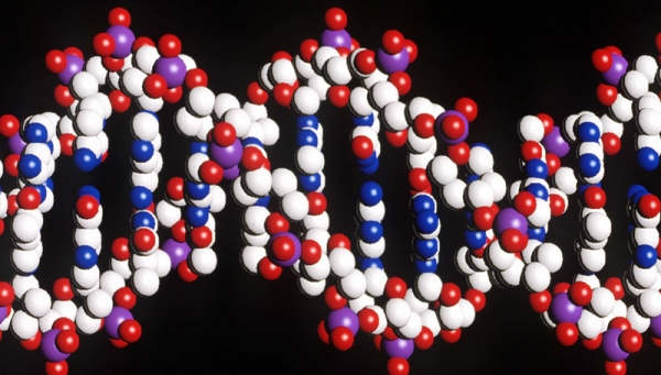 Το πρώτο γονίδιο κινδύνου για το Σύνδρομο Τουρέτ