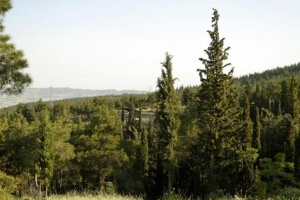 Απαγόρευση της κυκλοφορίας στο Σέιχ-Σου λόγω κινδύνου εκδήλωσης πυρκαγιάς