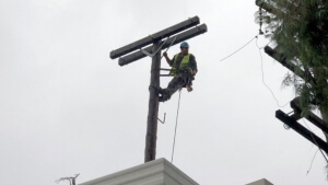 ΔΕΔΔΗΕ: Ολοκληρώθηκε η ηλεκτροδότηση 155.000 παροχών στο νομό Χαλκιδικής