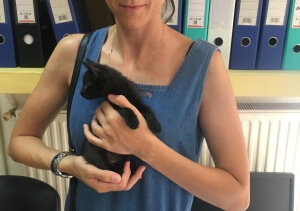 Συνεχίζονται οι υιοθεσίες αδέσποτων ζών στο Δήμο Ν. Προποντίδας