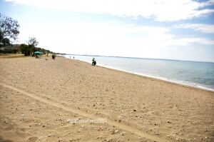 Δ. Ν. Προποντίδας: Καθαρίζουμε τις παραλίες μας συμμετέχοντας στο πρόγραμμα Γαλάζια Σημαία στην Ελλάδα