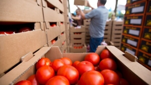 Υπ. Αγροτικής Ανάπτυξης: Οι αποκλίσεις οδηγούν σε τριπλούς ελέγχους στη βιολογική παραγωγή
