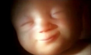 Είτε φρέσκα, είτε κατεψυγμένα τα έμβρυα, η εξωσωματική έχει εξίσου θετικά αποτελέσματα για τις περισσότερες γυναίκες