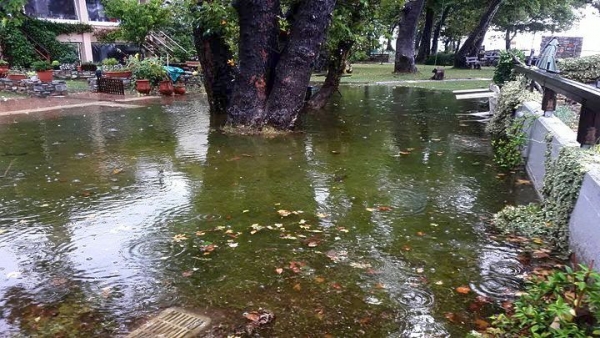 Σήμερα οι πρώτες καταγραφές ζημιών από κλιμάκια μηχανικών στη Σιθωνία