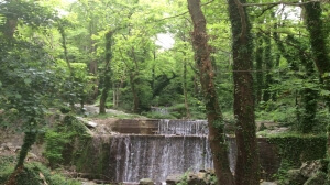 Ενημέρωση για τη διαδικασία των ενστάσεων επί των δασικών χαρτών