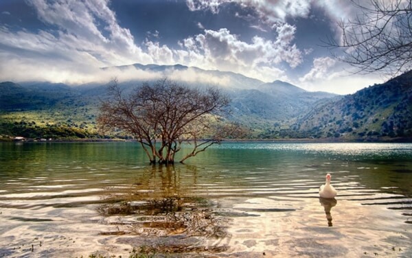 Οι άνθρωποι νιώθουν μεγαλύτερη συναισθηματική ικανοποίηση με τα τοπία παρά με τα πράγματα