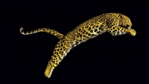 Πέντε ελληνικές συμμετοχές στο 69ο Διεθνές Φεστιβάλ Κινηματογράφου του Λοκάρνο