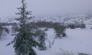 Σε ετοιμότητα η Γενική Γραμματεία Πολιτικής Προστασίας ενόψει του νέου κύματος κακοκαιρίας