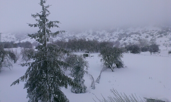 Σε ετοιμότητα η Γενική Γραμματεία Πολιτικής Προστασίας ενόψει του νέου κύματος κακοκαιρίας