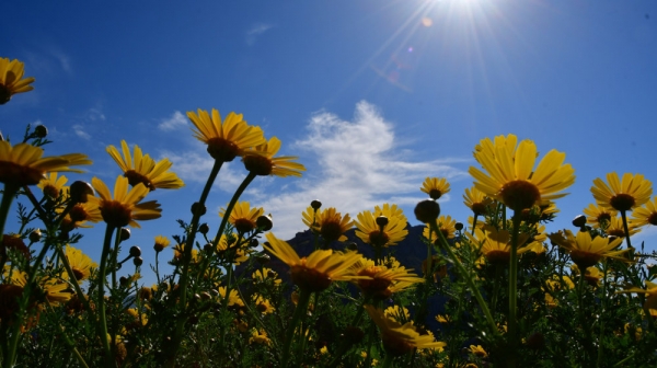 Υψηλές θερμοκρασίες στη Μακεδονία και τη Θράκη σήμερα Πέμπτη