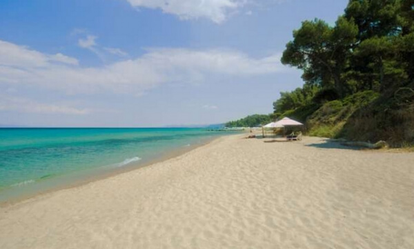 Χαλκιδική: Συλλήψεις για παράνομη ελεύθερη κατασκήνωση