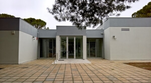 Αρχαιολογικό Μουσείο Πολυγύρου