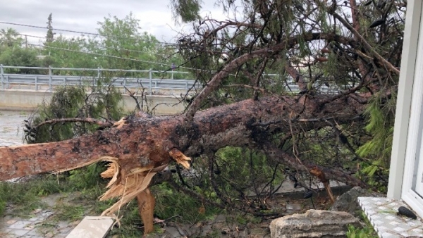 Χαλκιδική: Κυβερνητικό κλιμάκιο στις πληγείσες περιοχές της Ολυμπιάδας