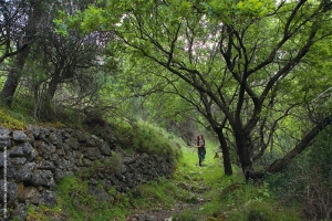 Ανάπτυξη του περιπατητικού τουρισμού στη Χαλκιδική