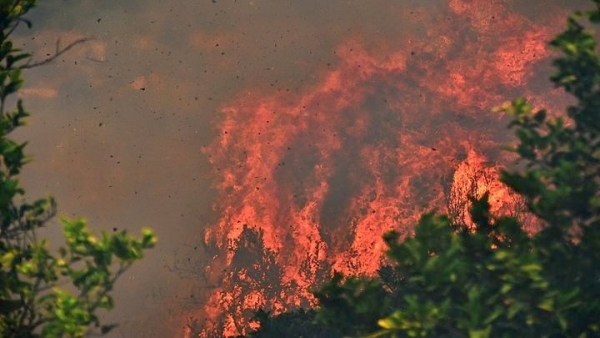 Φωτιά σε δασική έκταση στη Μόλα Καλύβα Χαλκιδικής