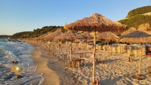 Απομακρύνθηκαν ξαπλώστρες στην Άφυτο που καταλάμβαναν αυθαίρετα 2.500 τ.μ.