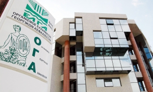 Οικογενειακά επιδόματα ΟΓΑ: Σήμερα η καταβολη της γ' δόσης