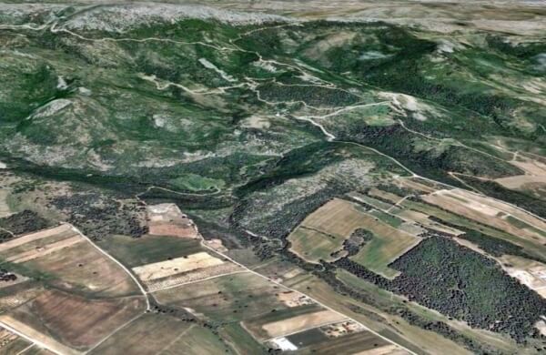 Παρατείνεται έως 7 Σεπτεμβρίου η ανάρτηση των δασικών χαρτών