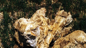 Ο αναξιοποίητος πλούτος της Ελλάδας