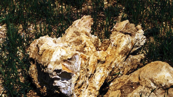 Ο αναξιοποίητος πλούτος της Ελλάδας