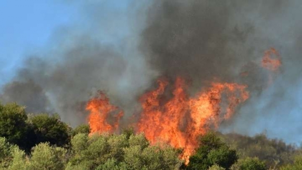 Υπό έλεγχο η πυρκαγιά κοντά στην Σάρτη Χαλκιδικής