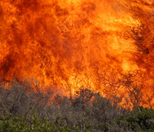 Και δεύτερη πυρκαγιά σήμερα στη Χαλκιδική (2)