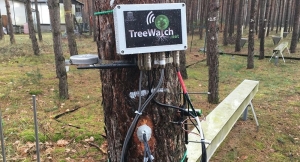 Τα δέντρα χρησιμοποιούν το Twitter για να «μαρτυρήσουν» τις συνέπειες της κλιματικής αλλαγής πάνω τους!